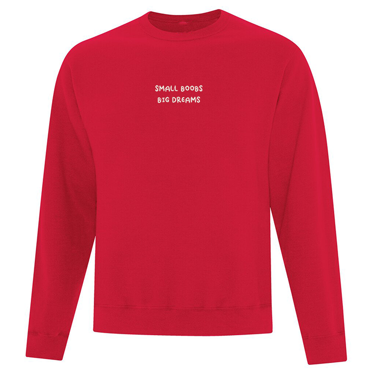 Crewneck "Small B00bs Big Dreams" brodé