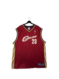 LeBron James Cavaliers Jersey